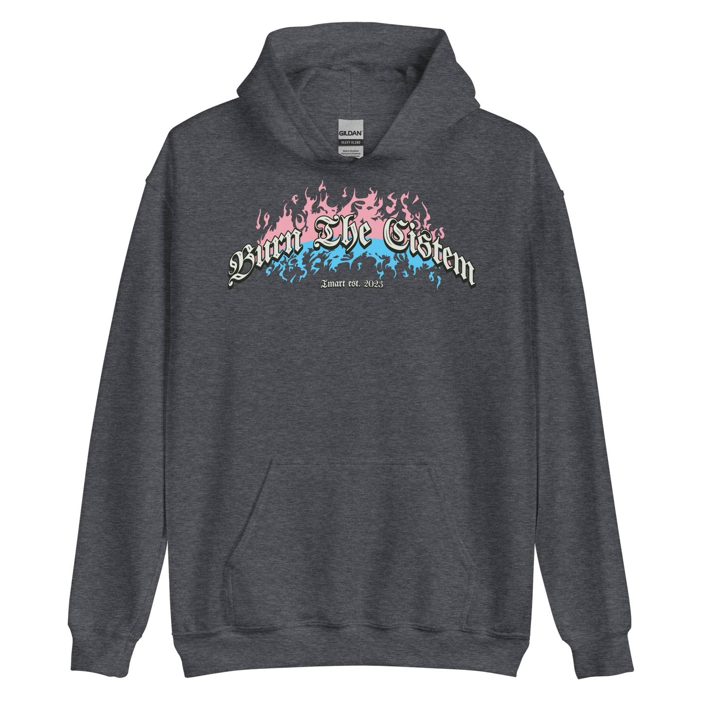 Burn the Cistem Hoodie