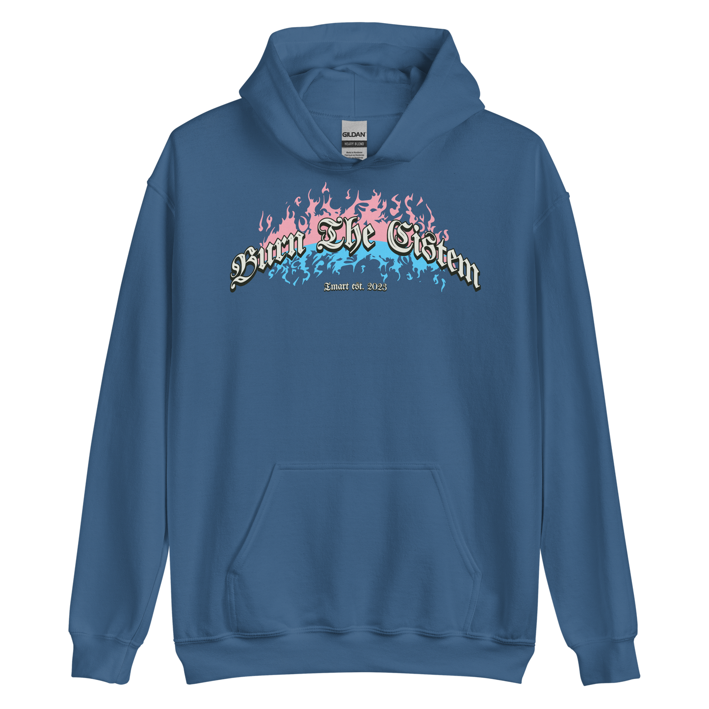 Burn the Cistem Hoodie