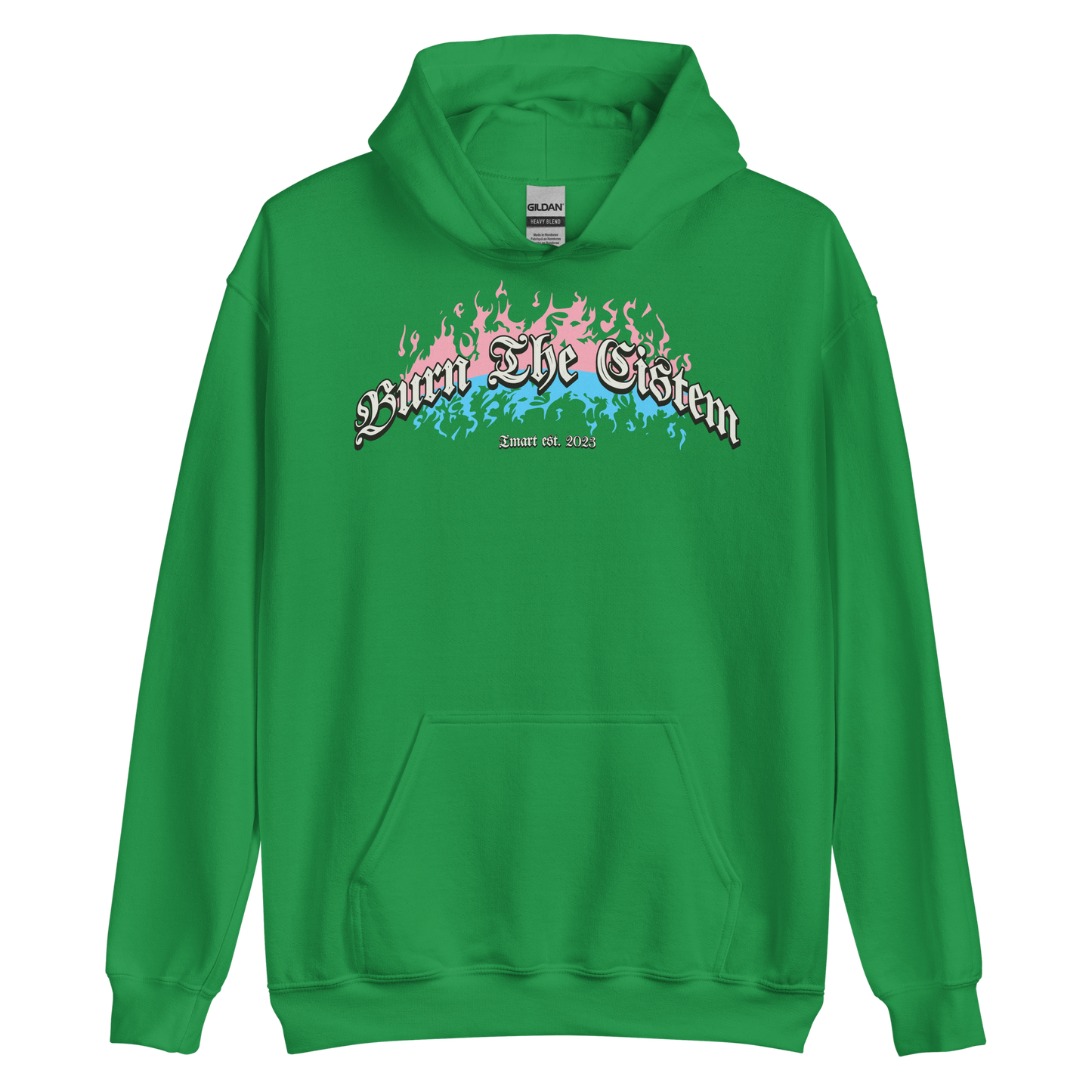Burn the Cistem Hoodie