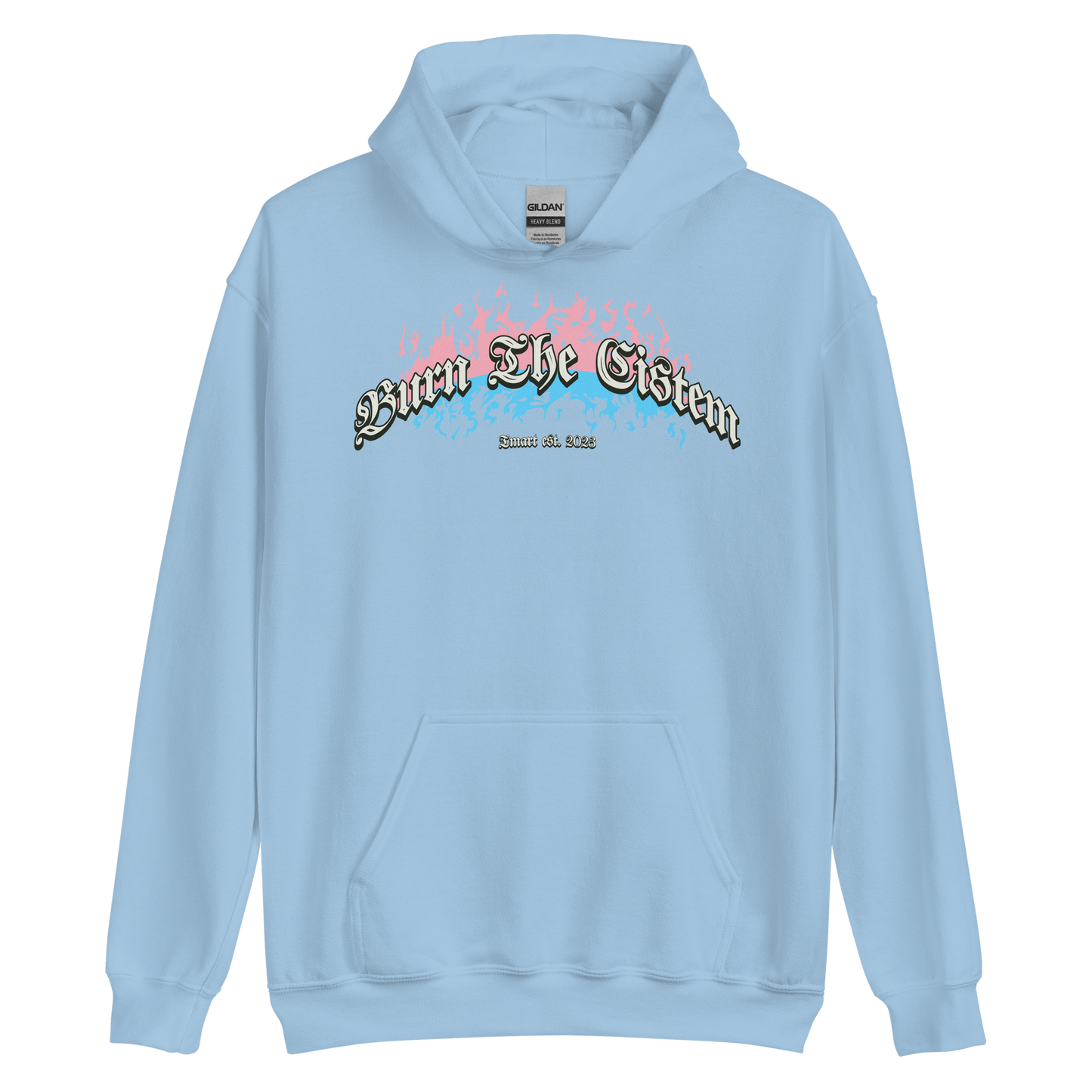 Burn the Cistem Hoodie