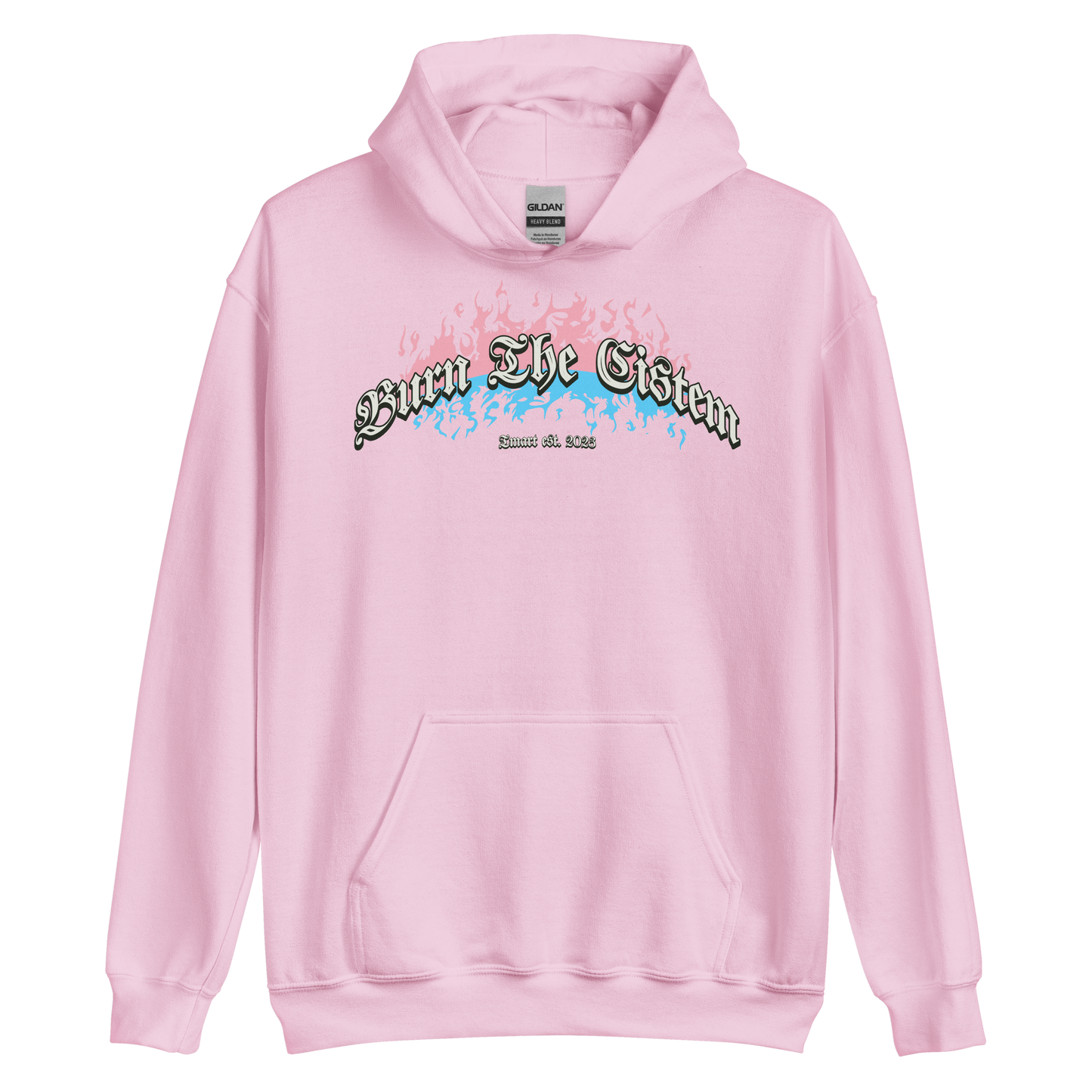 Burn the Cistem Hoodie
