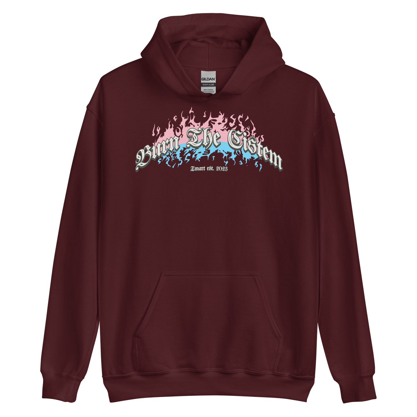 Burn the Cistem Hoodie