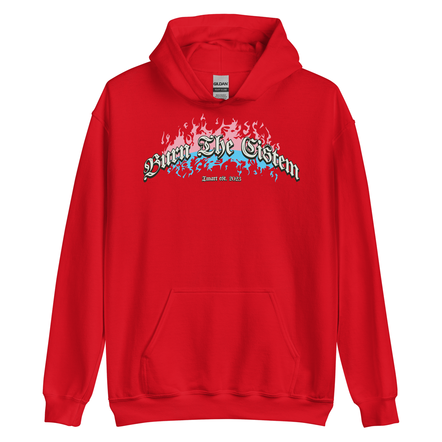 Burn the Cistem Hoodie