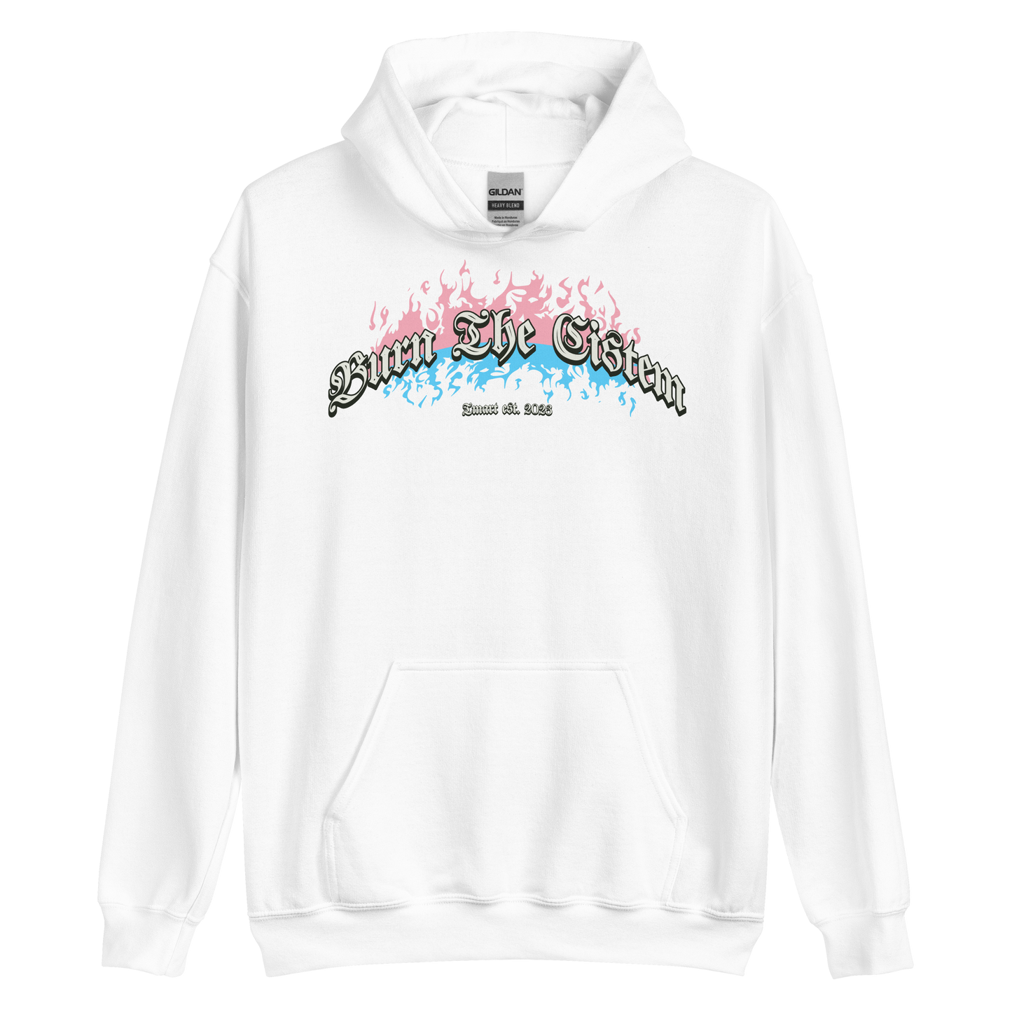 Burn the Cistem Hoodie