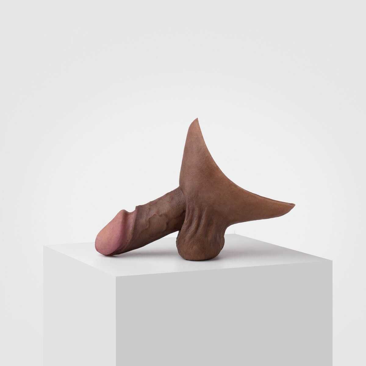 Dong | 1st Gen.