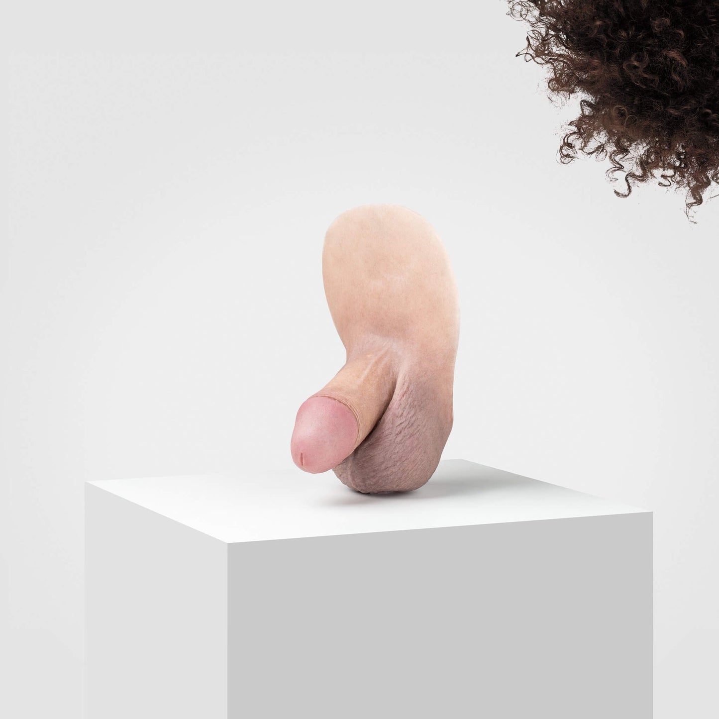 Pickle | FL04