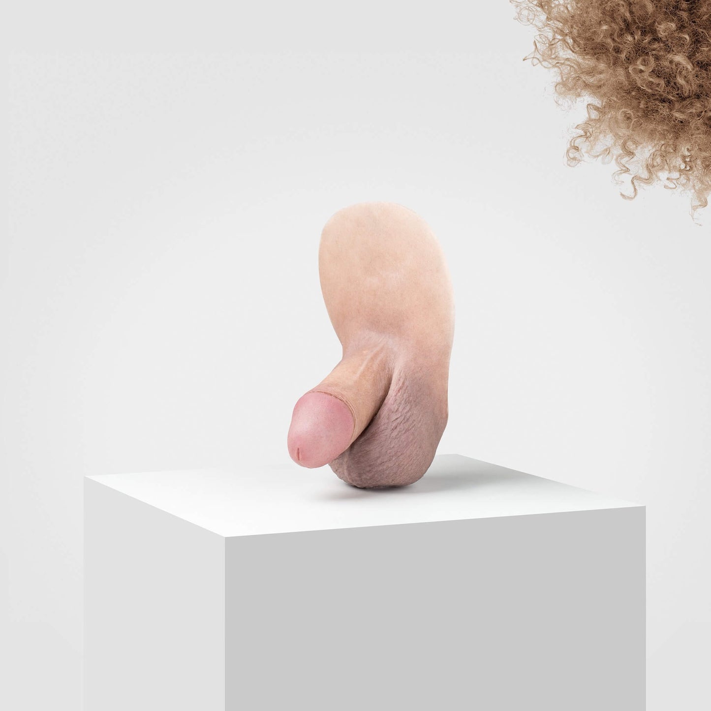 Pickle | FL04