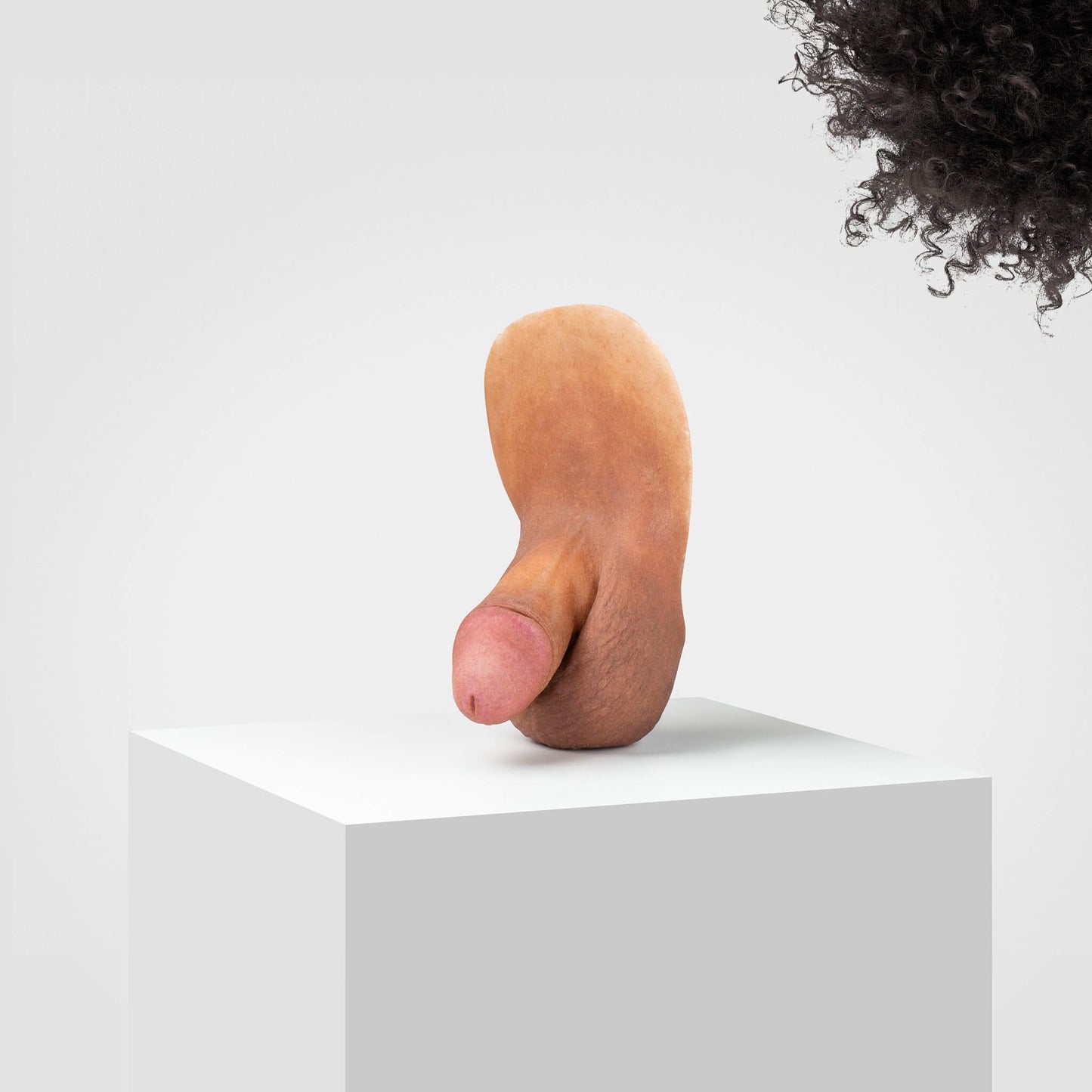 Pickle | FL04