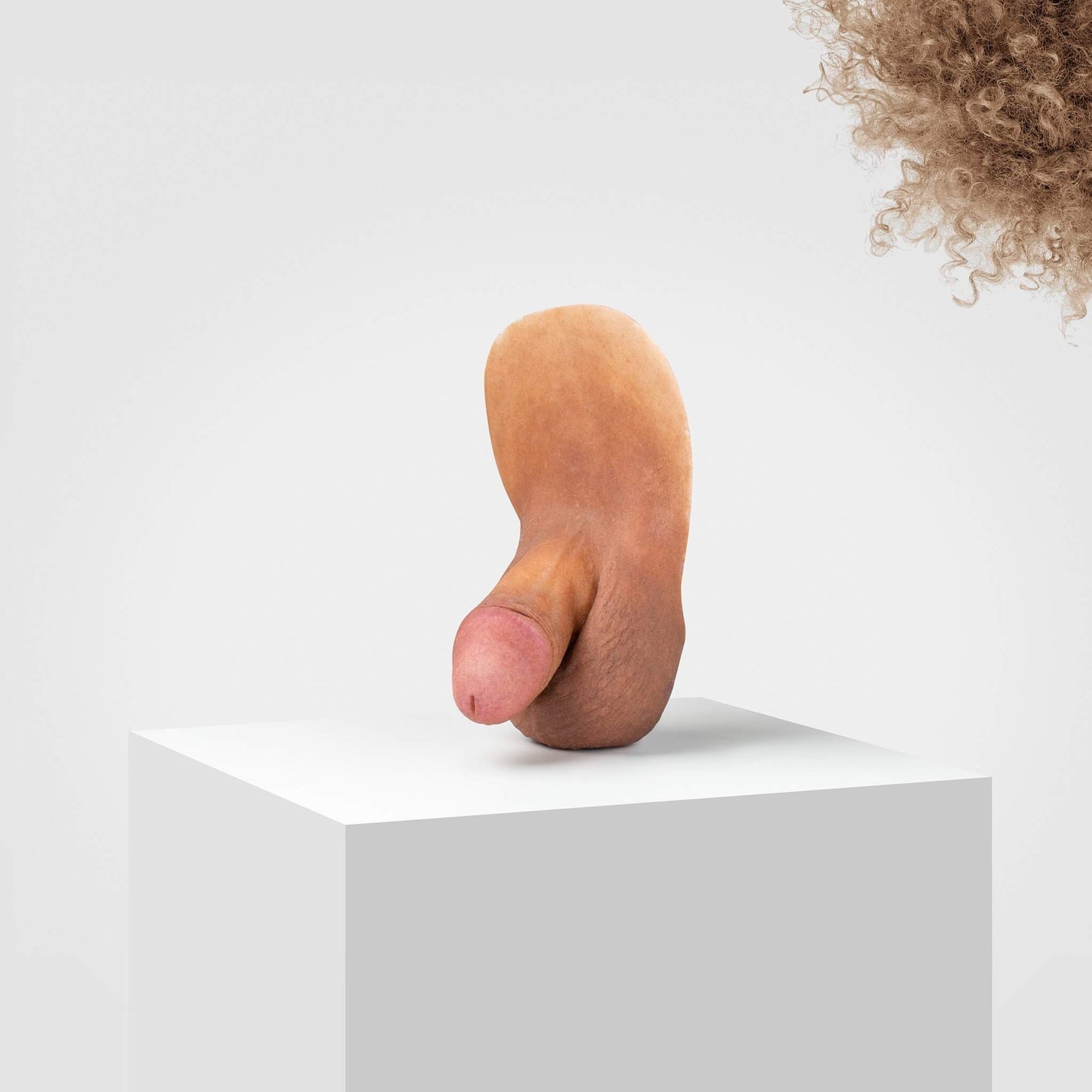 Pickle | FL04