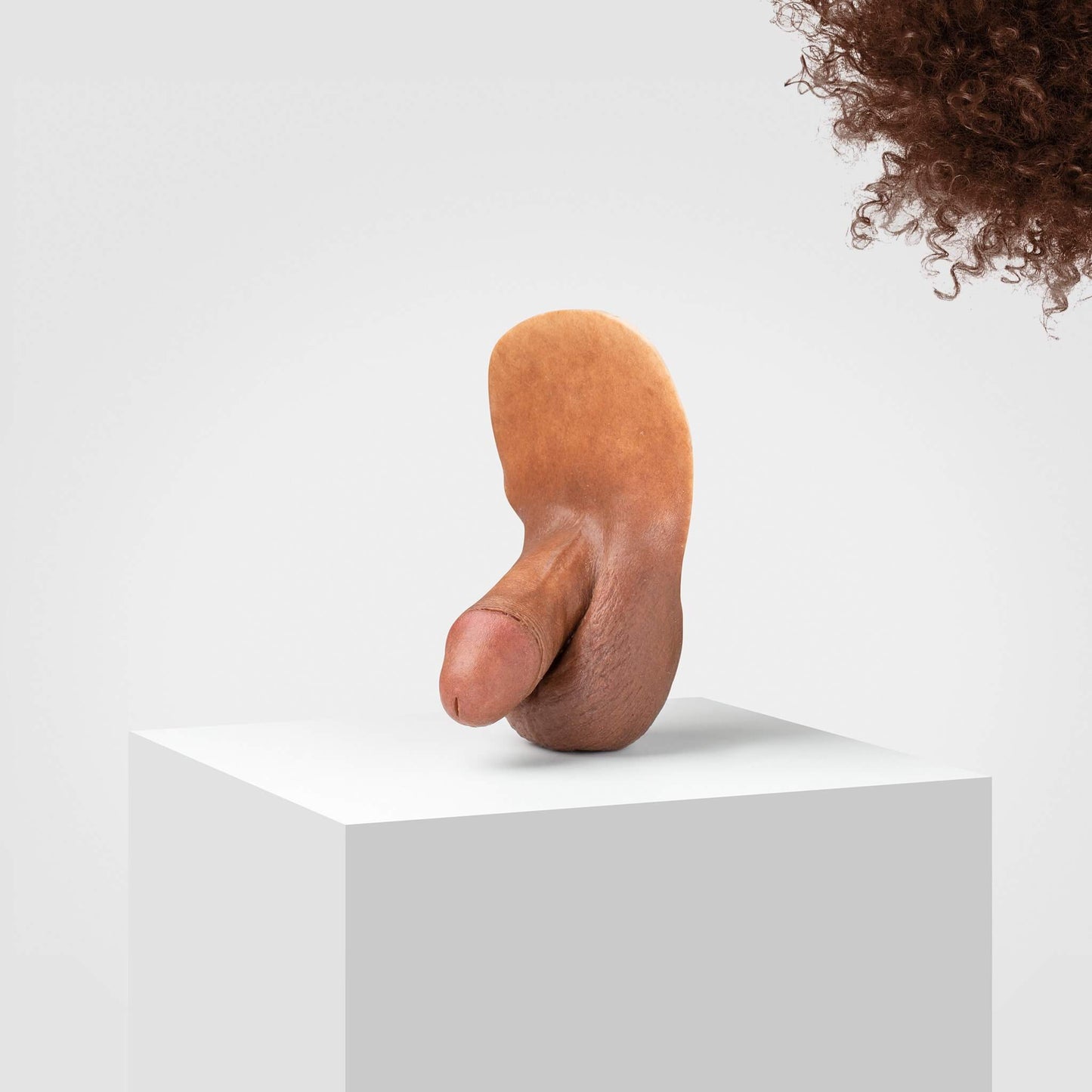 Pickle | FL04