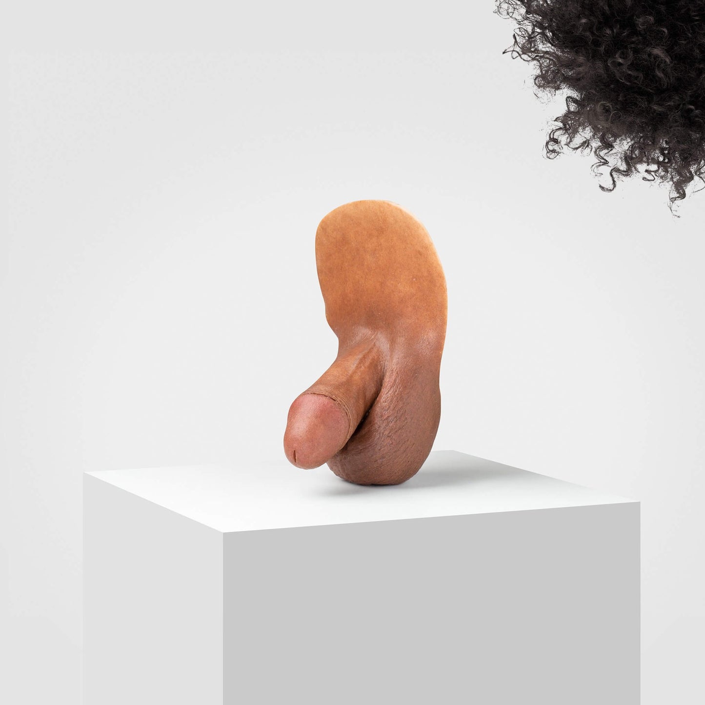 Pickle | FL04